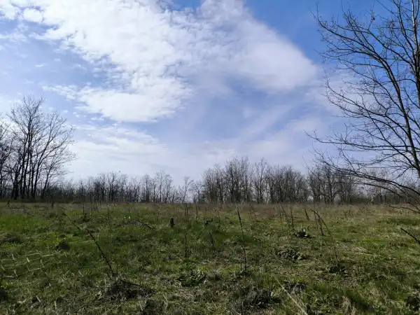 Eladó Építési telek, Paks 10321 m² 95 M Ft