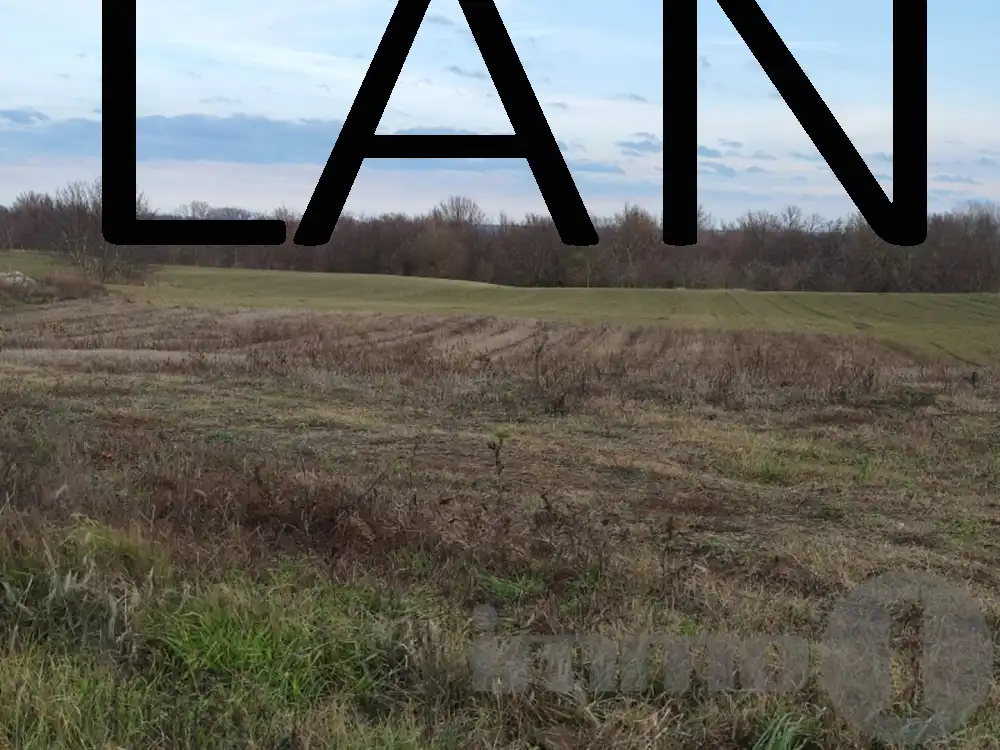 Tolna megye - Dunaszentgyörgy